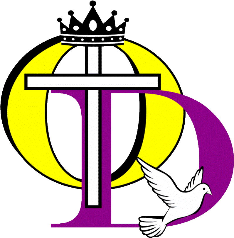 History Clipart Church History - White Dove Shower Curtain - Png Download (903x856), Png Download