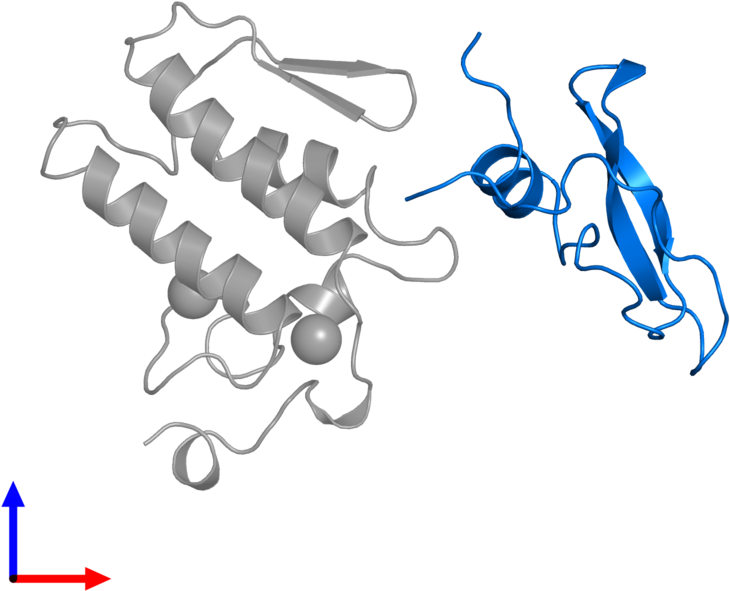 <div Class='caption-body'>pdb Entry 1bun Contains 1 - Graphic Design Clipart (800x800), Png Download