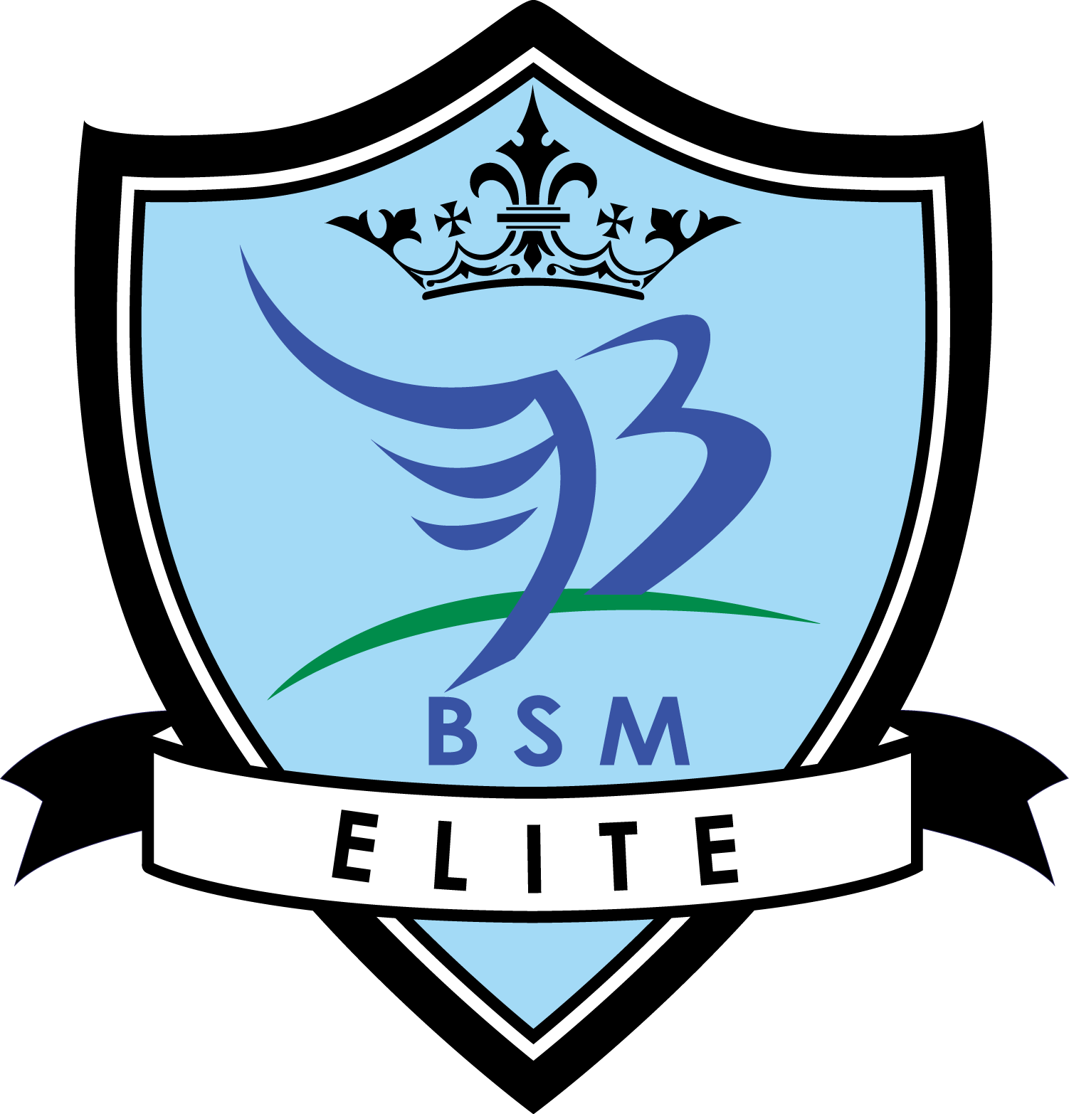 Bsm Elite Clipart (1502x1566), Png Download