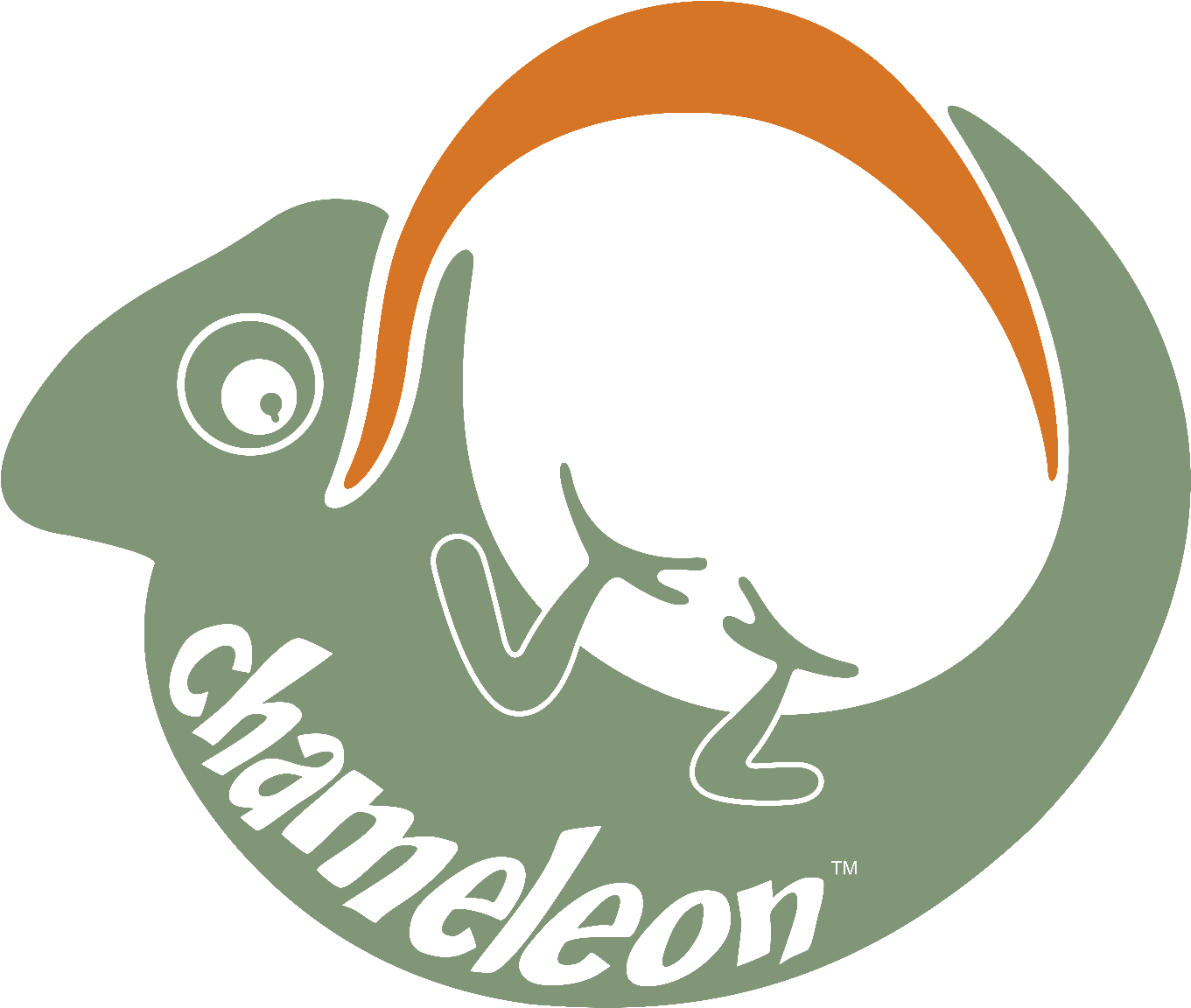 Chameleon Hammock Complete-0 - Hammock Clipart (1530x1200), Png Download