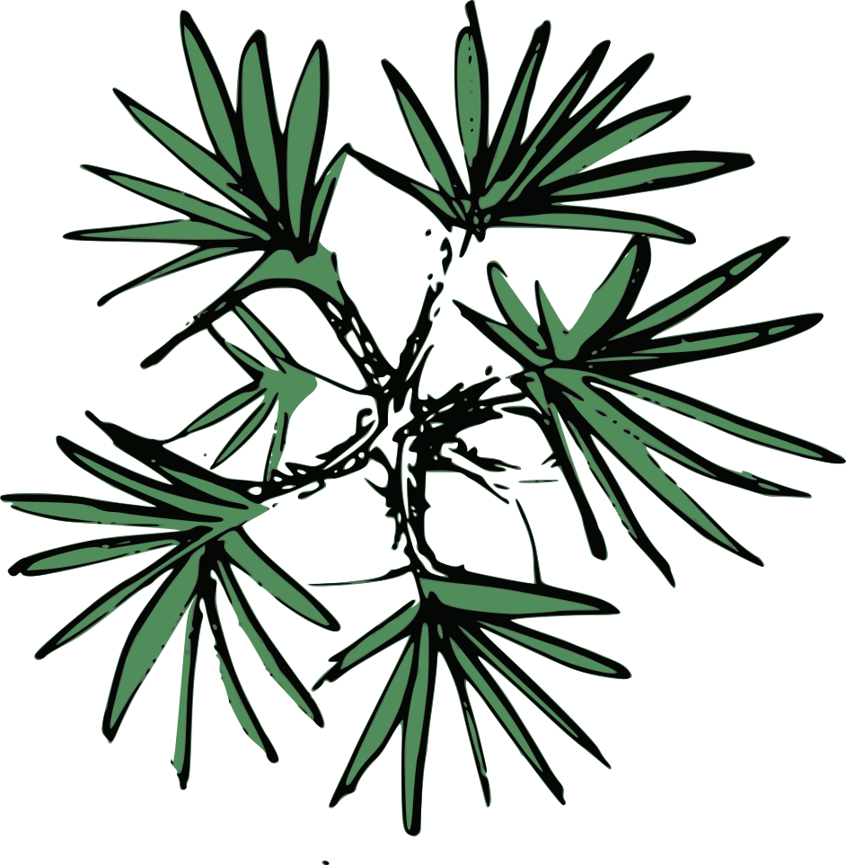 The Desire To Create Computer Aided Design Plans That - Design Clipart (942x963), Png Download