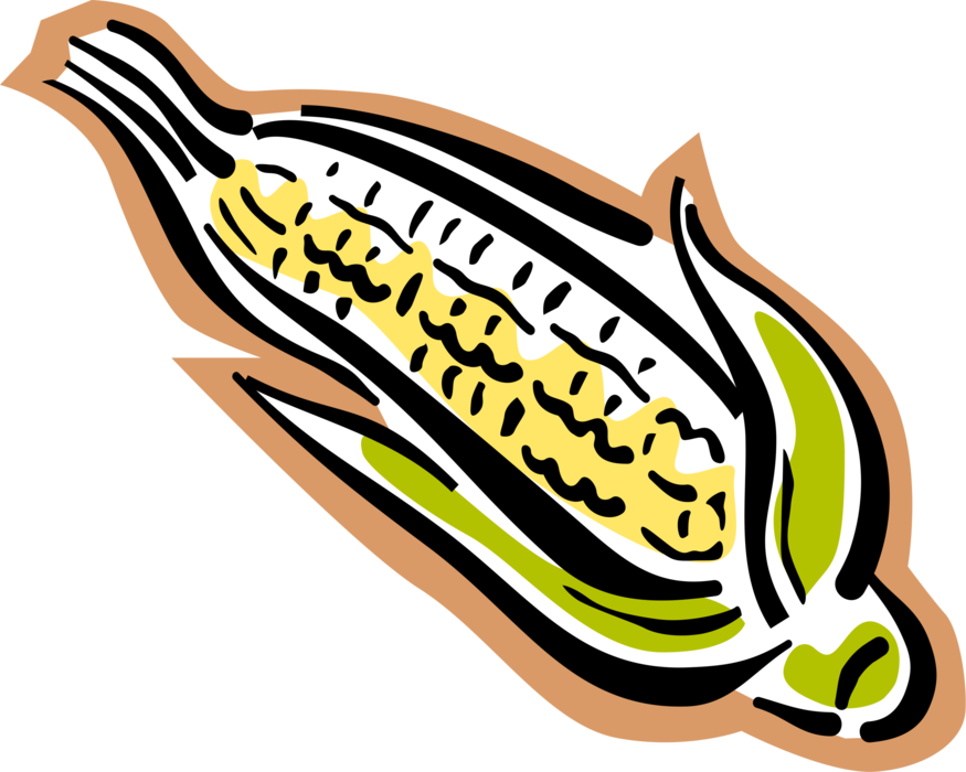 Vector Illustration Of Corn On The Cob Grain Plant - Illustration Clipart (875x700), Png Download