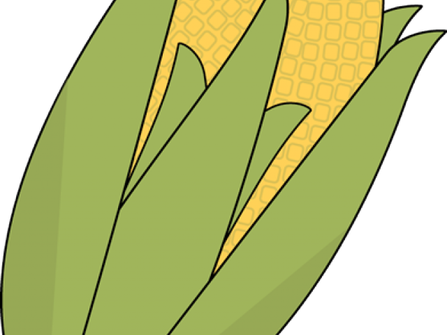 Ear Of Corn Clipart - Png Download (640x480), Png Download