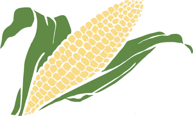 Grain Clipart Corn Grain - Maiz Vector Png Transparent Png (640x480), Png Download