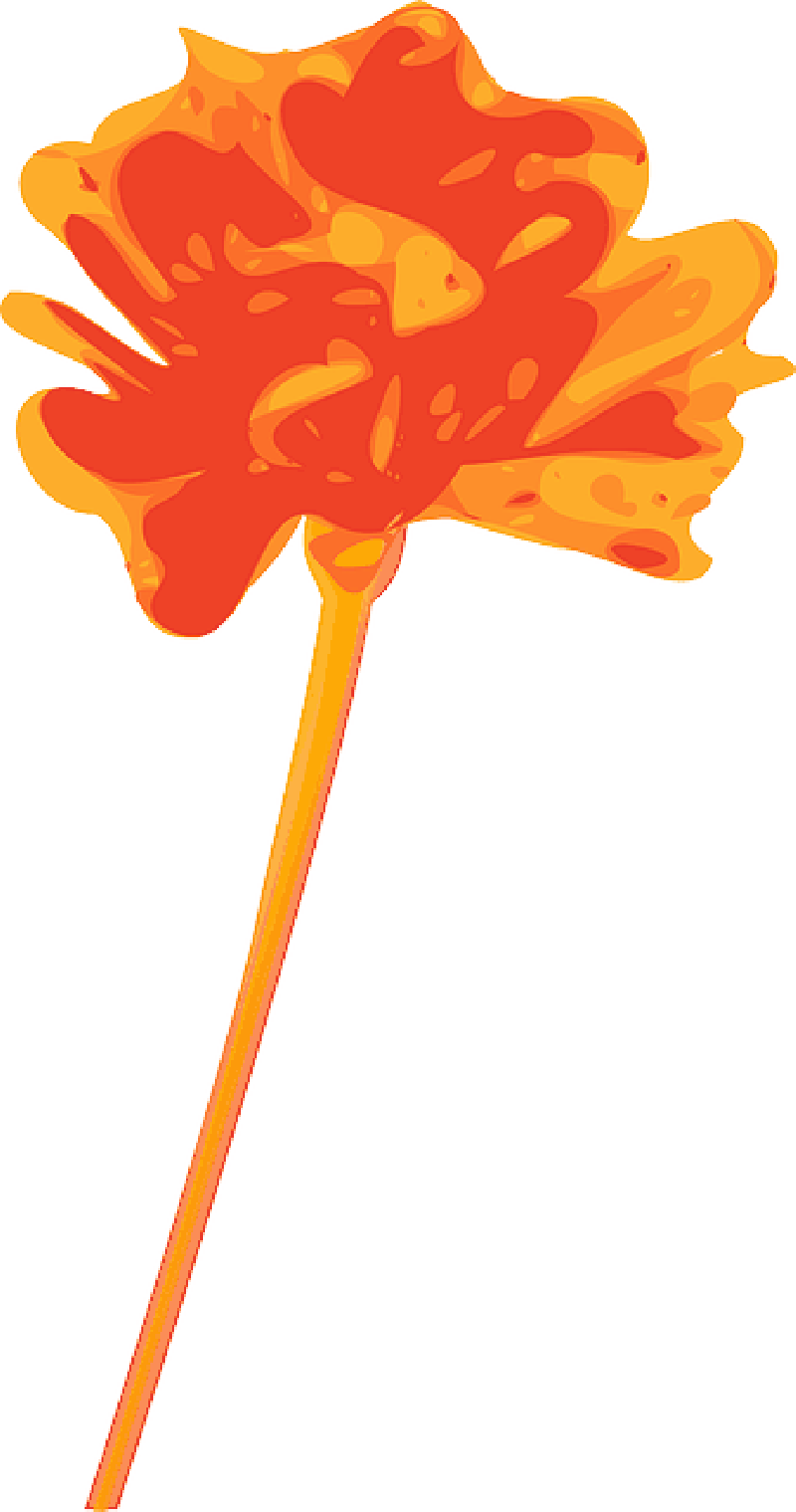 Free Pictures Stem - Orange Flower Clipart - Png Download (800x1519), Png Download