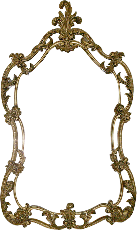 Cadre Png - Frog In The Mirror Clipart (475x800), Png Download