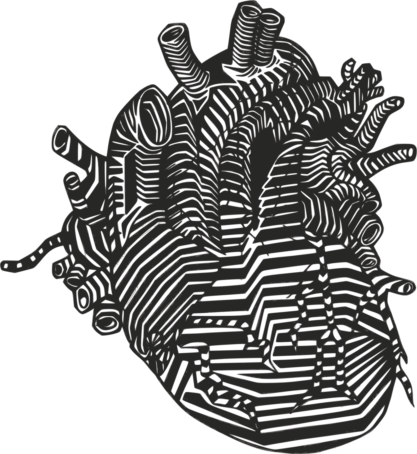 The Tell-tale Heart - Anatomical Heart Drawing Clipart (1763x1920), Png Download