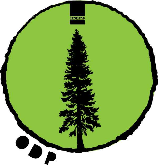 The Groundwork Is Being Laid For A New Mentoring Program - Douglas Fir Silhouette Clipart (600x629), Png Download