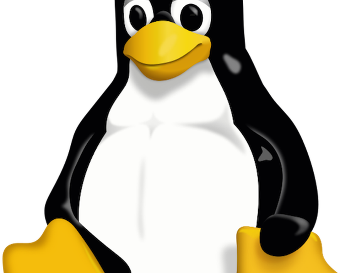Uk Government Recruits Chief Open Source Penguin - Linux: Questions And Answers [book] Clipart (1280x868), Png Download