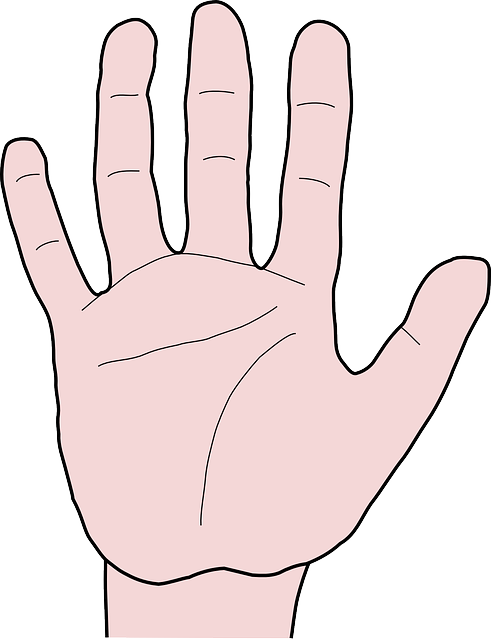 Hand, Fingers, Thumb, Index Finger, Pointer Finger - Finger Animasi Clipart (491x640), Png Download