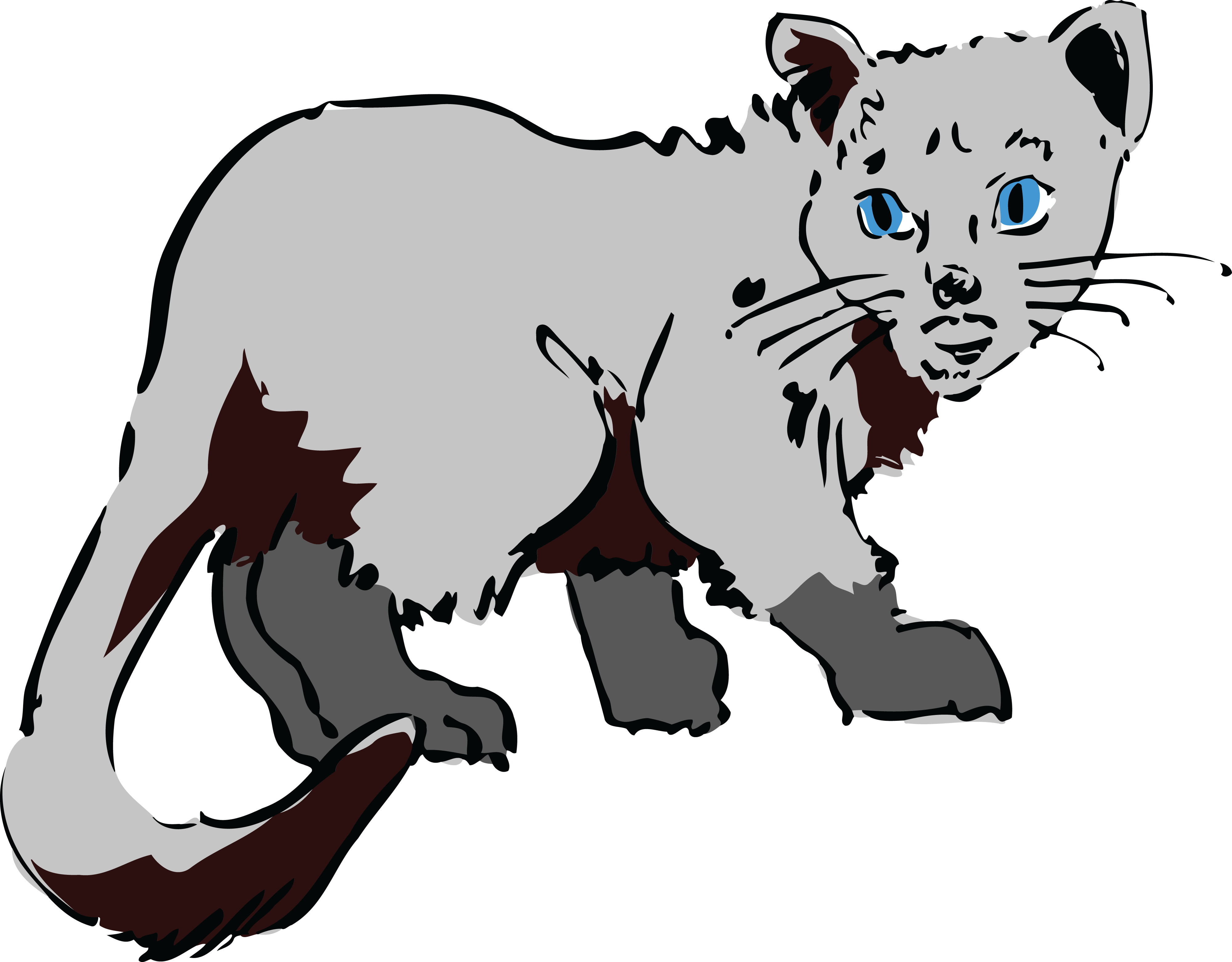 Free Clipart Of A Gray Cat - Cat Coloring Pages - Png Download (4000x3123), Png Download