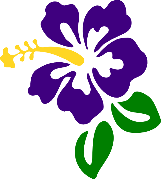 Purple Hibiscus Clip Art - Png Download (540x600), Png Download