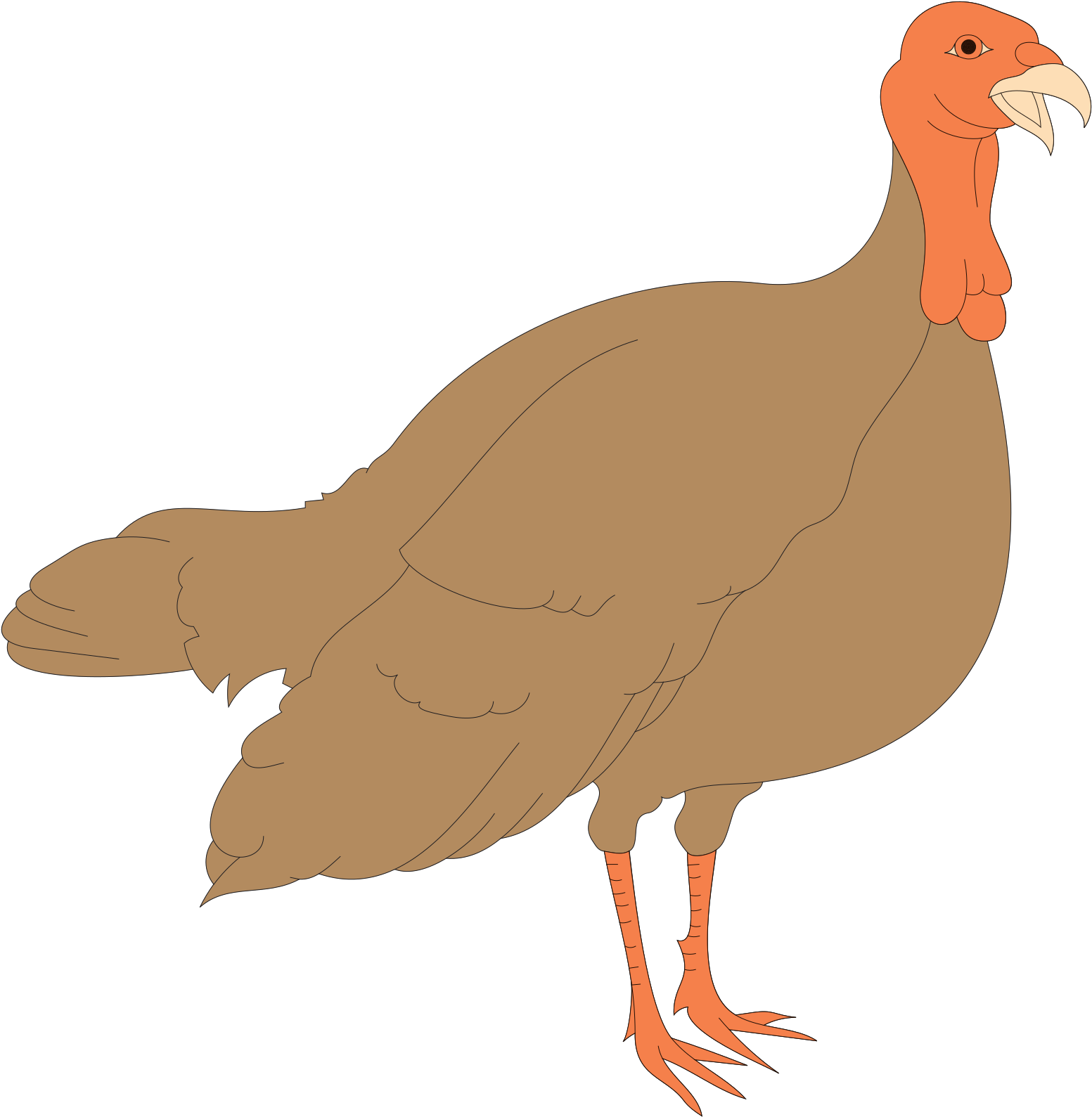 Albans City School Daily Announcements - Turkey Bird Hd Clipart - Png Download (628x640), Png Download