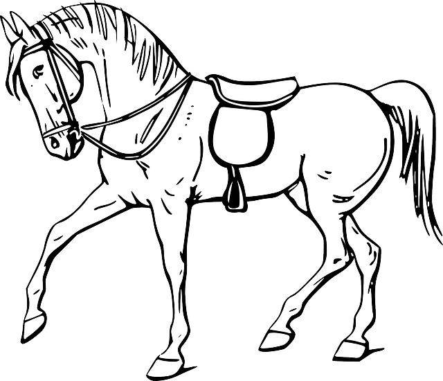 Horse Clipart Black And White - Png Download (640x550), Png Download