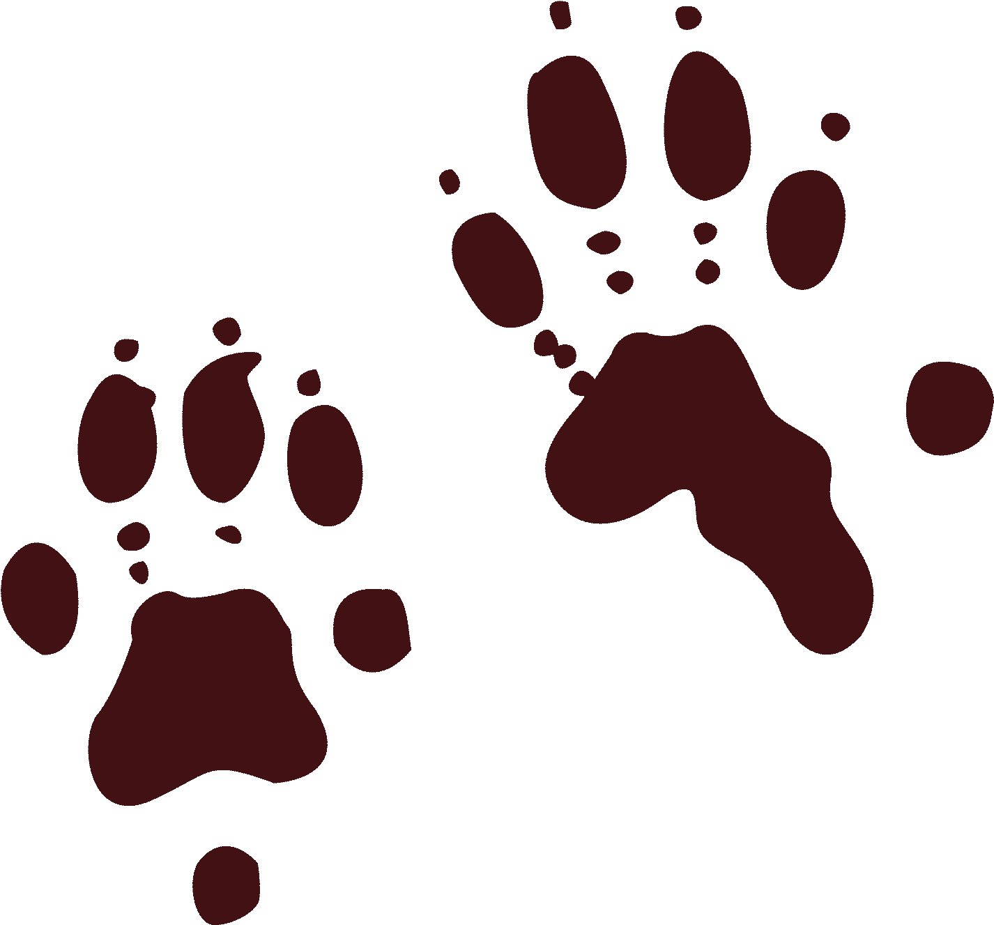 Kayaking Clipart Cartoon Otter - North American River Otter Paw Print - Png Download (1448x1338), Png Download