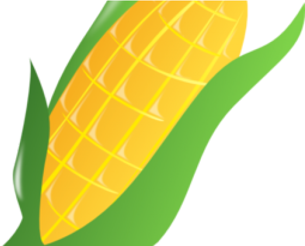 Harvest Clipart Ear Corn - Clip Art - Png Download (640x480), Png Download