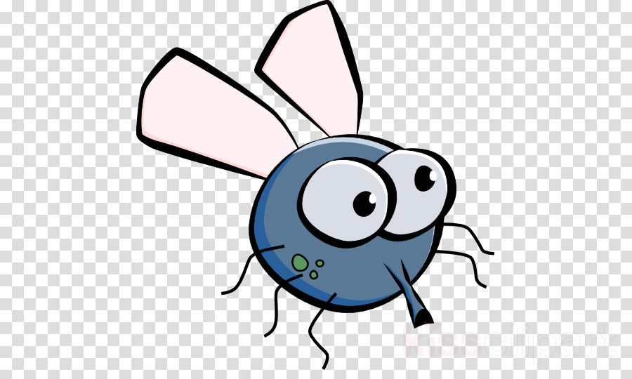 Download Fruit Fly Cartoon Png Clipart Drawing Clip - Cute Cartoon Fly Transparent Png (900x540), Png Download