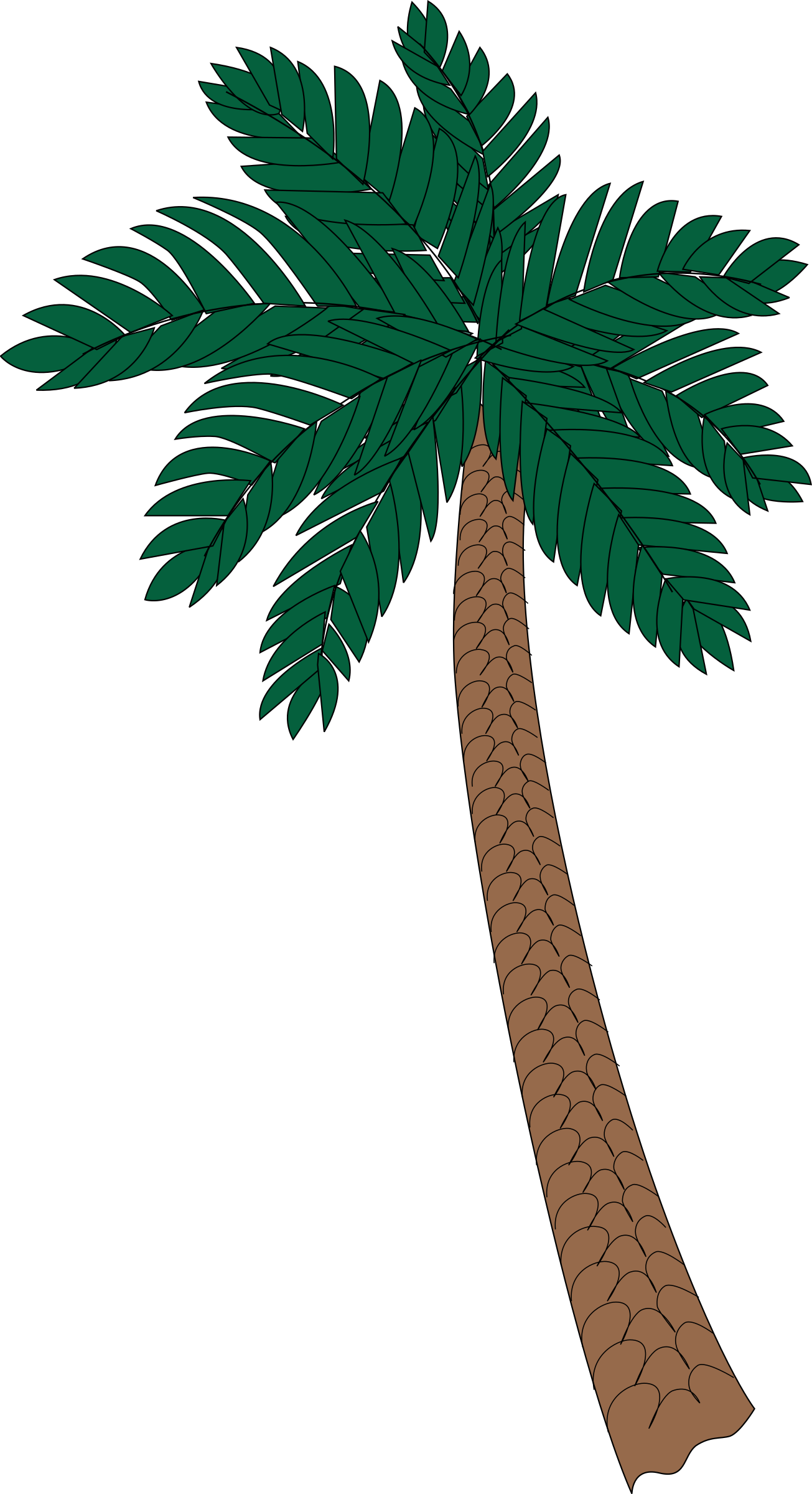 Palm - Palm Tree 2 Clipart (1305x2400), Png Download
