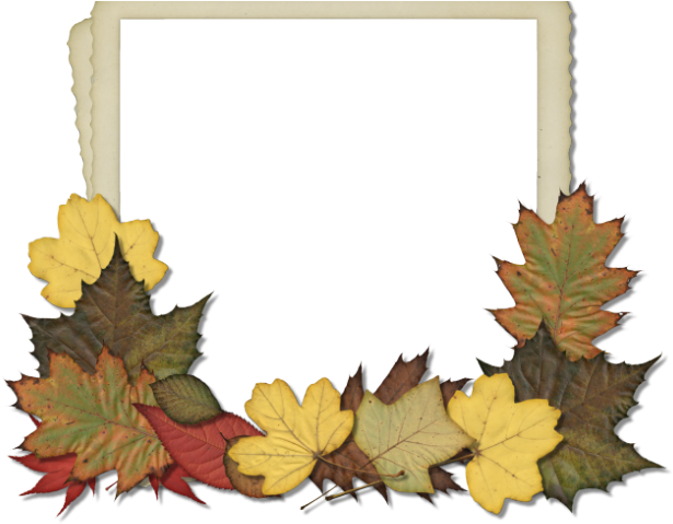 Maple Leaf Clipart Scrapbook - Coton De Tulear Note Cards - Png Download (640x480), Png Download