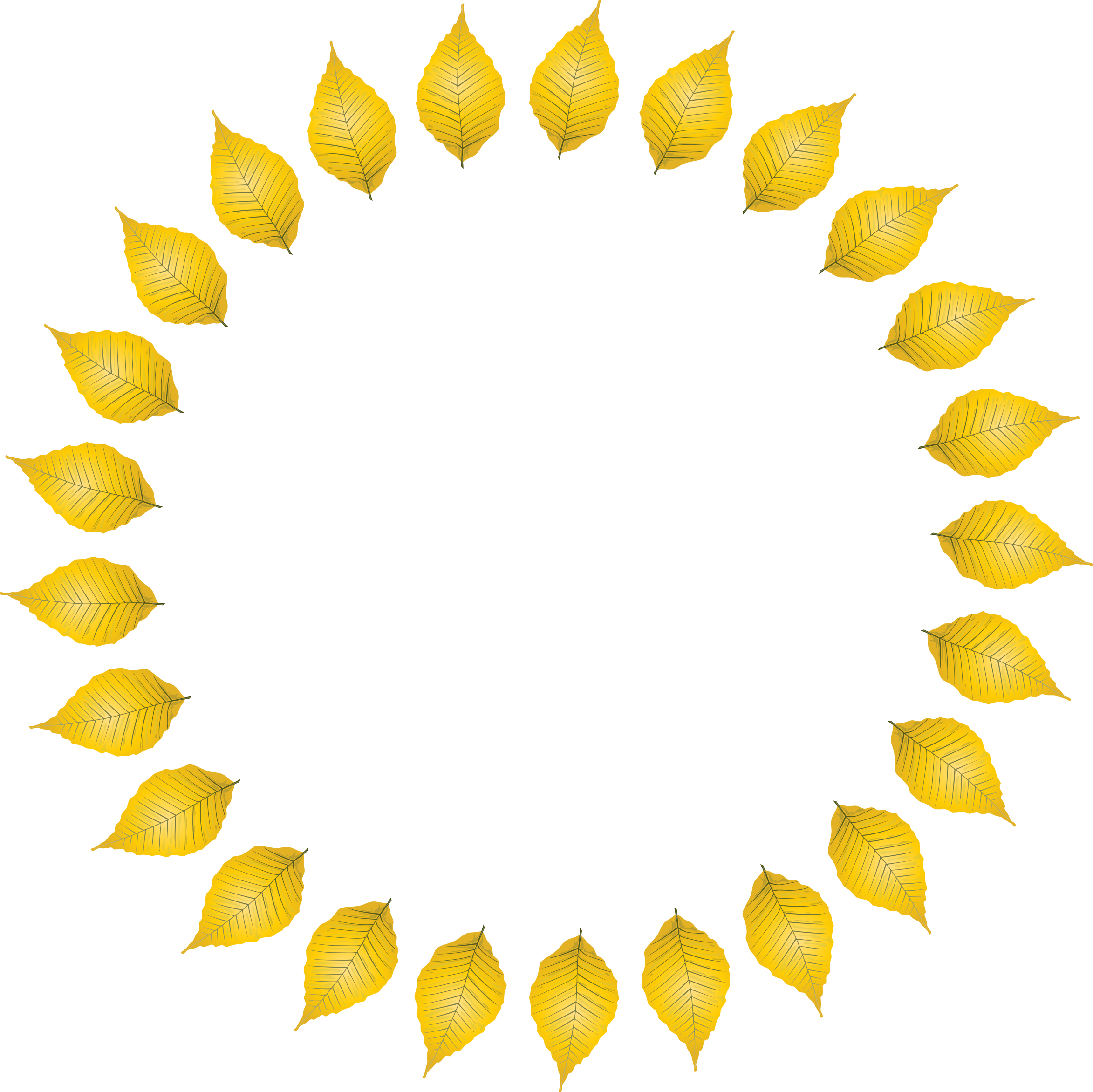 Big Image - Floral Doodles Circle Clipart (2346x2344), Png Download