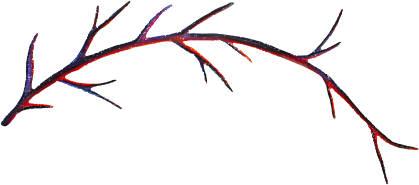 Autumn Branches Transparent Decorative This Backgrounds - Autumn Clipart (1024x470), Png Download