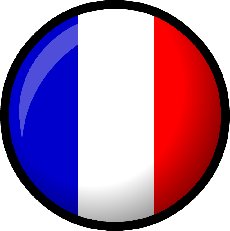 Image - France Flag - Png - Club Penguin Wiki - The - Francia Png Clipart (741x742), Png Download