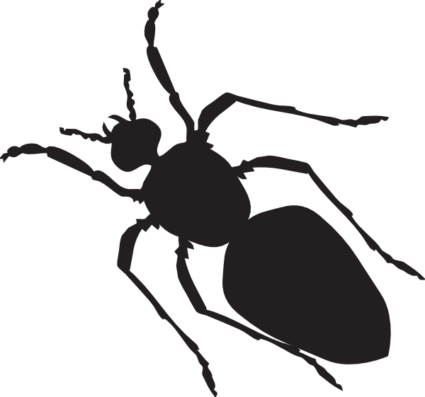 Black Ant Silhouette Clip Art - Ant Body Shape - Png Download (600x561), Png Download