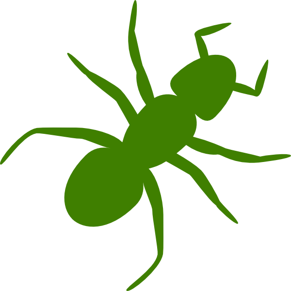 Ant Clip Art - Png Download (600x600), Png Download