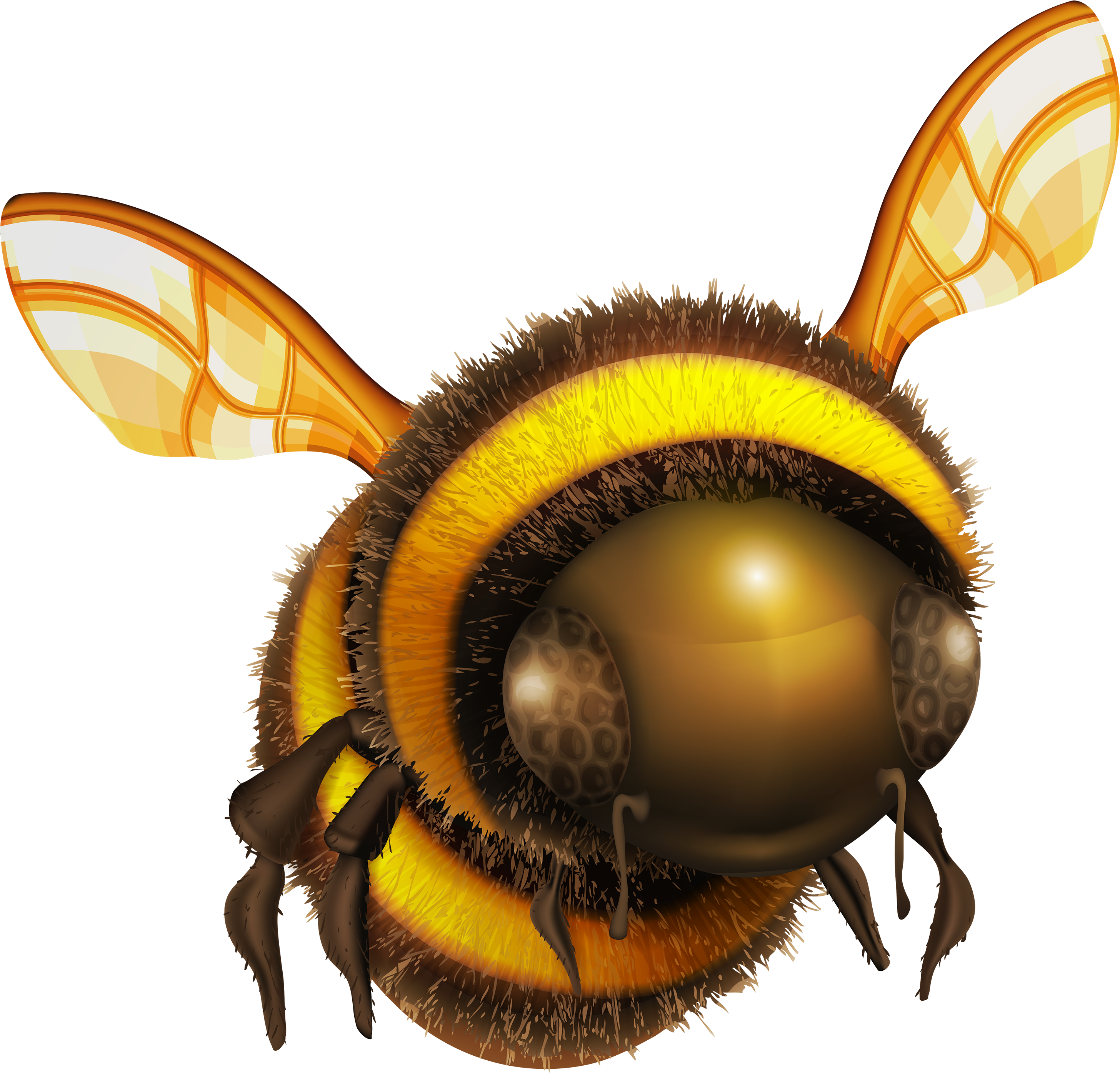 Bee Png Clip Art Best Web Transparent Png (3000x2870), Png Download