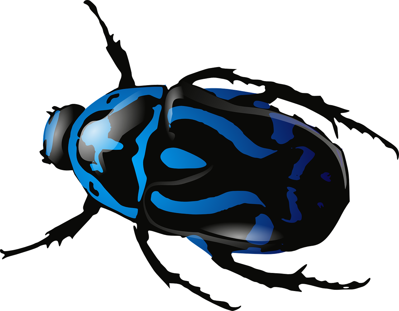Beetles Clipart Blue Beetle - Png Download (640x480), Png Download