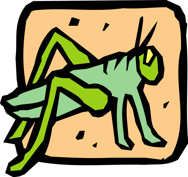 Insect 39 Free Vector / 4vector - Caelifera Clipart (800x755), Png Download