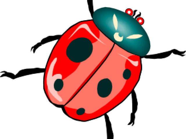 Clip Art Beetles - Png Download (640x480), Png Download