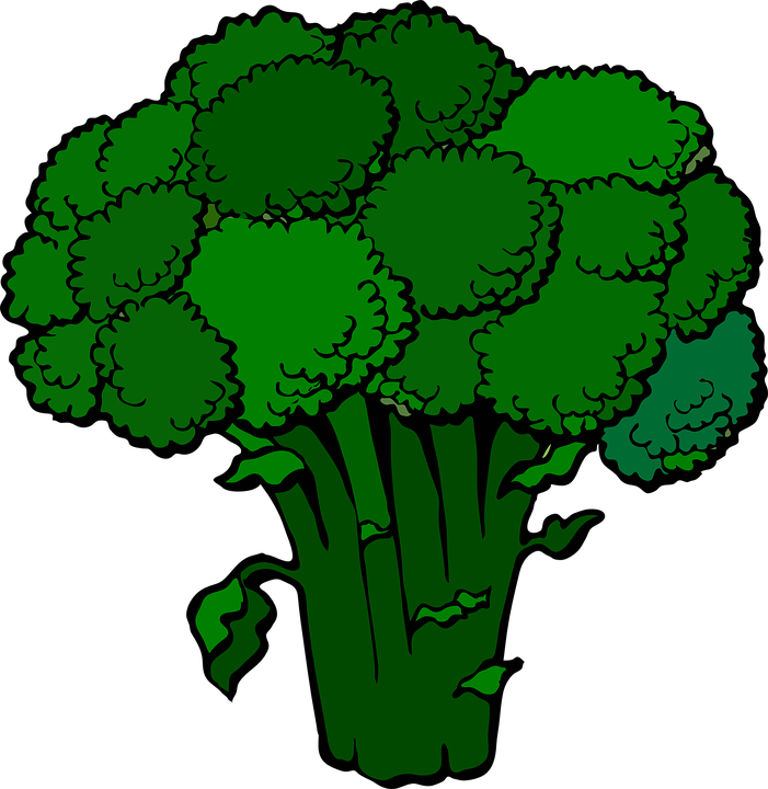 Download - Broccoli Clip Art - Png Download (582x598), Png Download