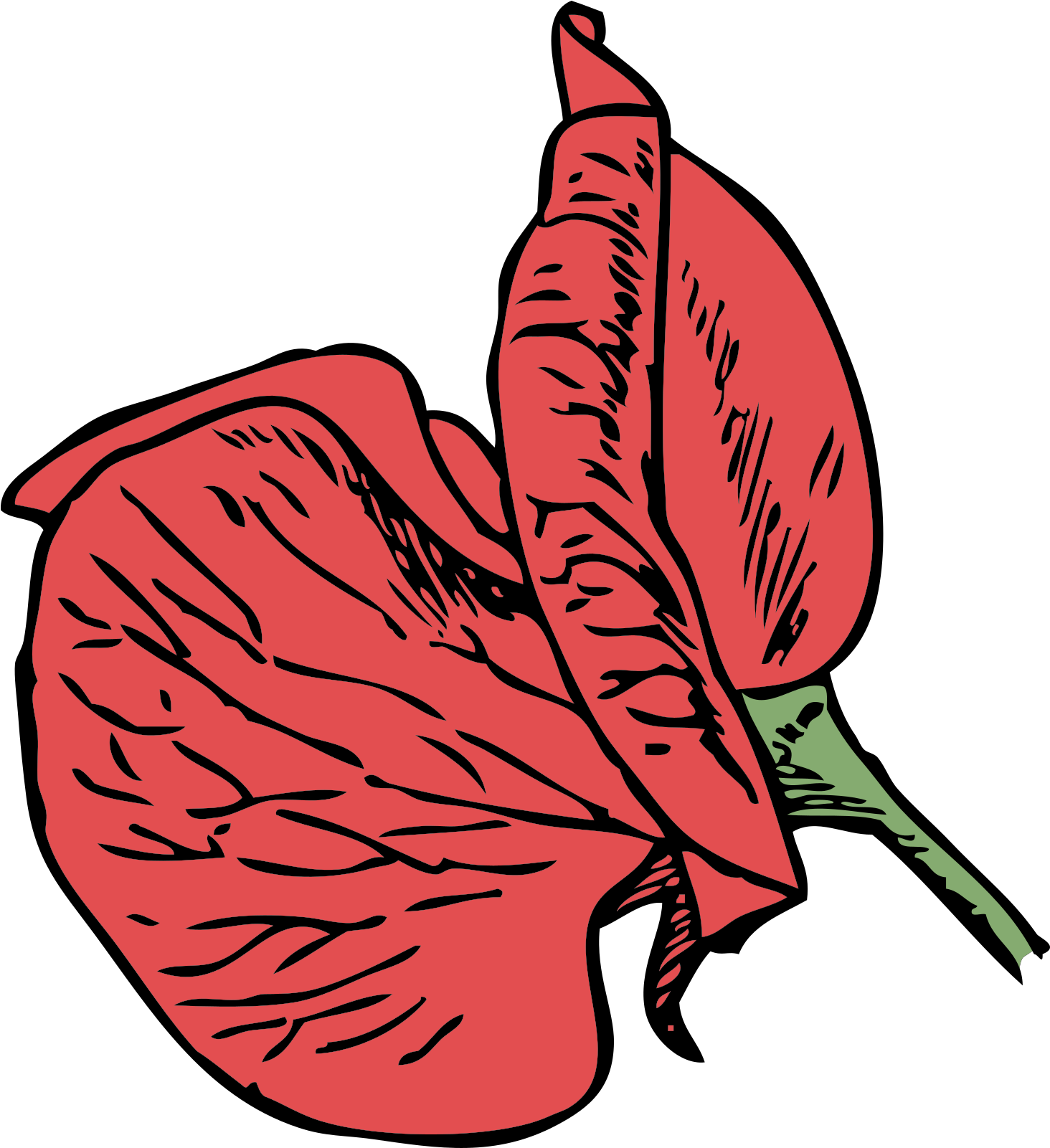 Sweet Pea Flower Clip Art - Sweet Pea Flower Cartoon - Png Download (735x800), Png Download