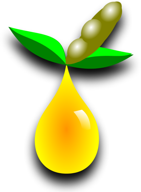 Drop Liqu - World Biofuel Day 2018 Clipart (600x820), Png Download