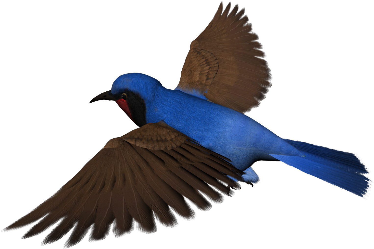 Birds - Rajasthan Clipart (1600x1131), Png Download
