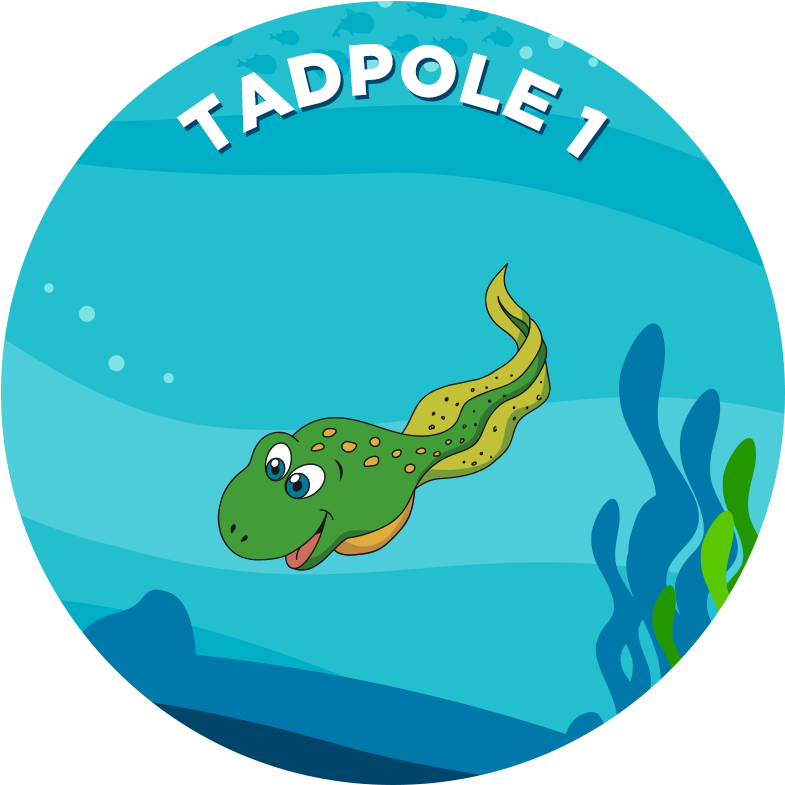 Tadpole Clipart Foot - Pokémon Mystery Dungeon: Blue Rescue Team And Red Rescue - Png Download (800x800), Png Download