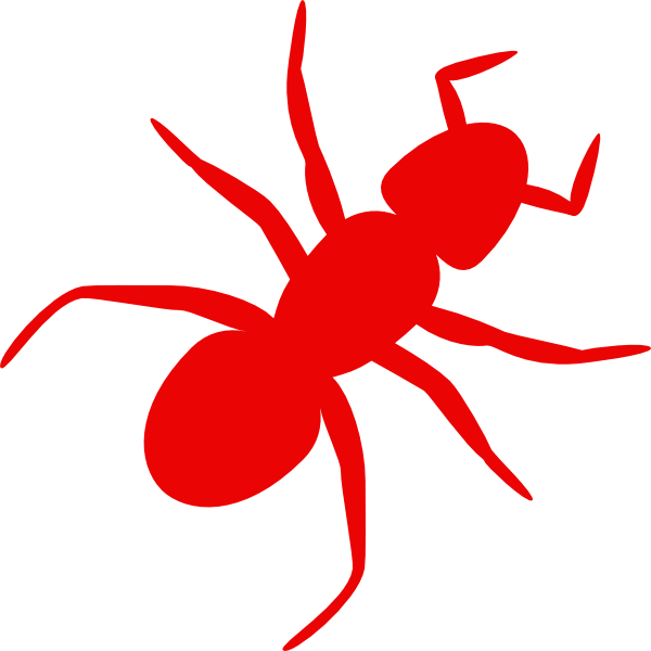 Ant Clip Art - Png Download (600x600), Png Download