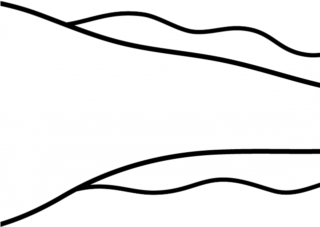 Tadpole Clipart Baby - Drawing - Png Download (640x480), Png Download