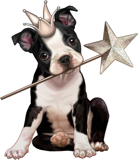Мобильный Liveinternet Perritos Mc Clipart - Collier Pendentif Chien De Princesse Personnalisé Avec - Png Download (625x550), Png Download