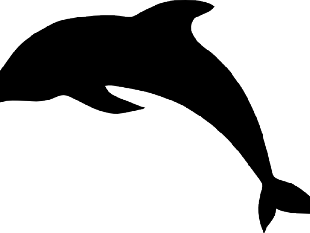 Spinner Dolphin Clipart Cute - Clip Art - Png Download (640x480), Png Download