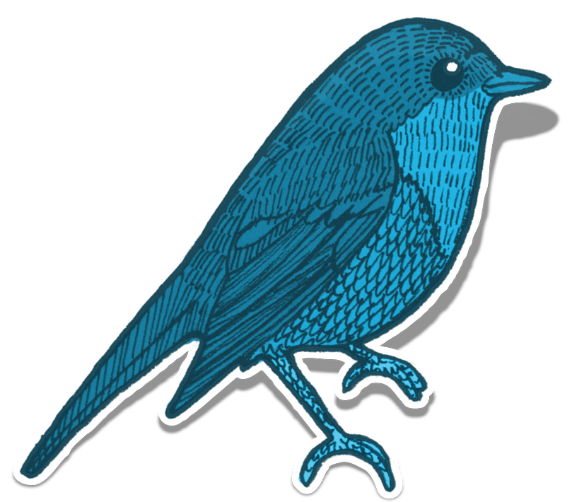 Blue Jay Clipart 18, Buy Clip Art - Cafepress Samsung Galaxy S8 Plus Case - Png Download (821x720), Png Download