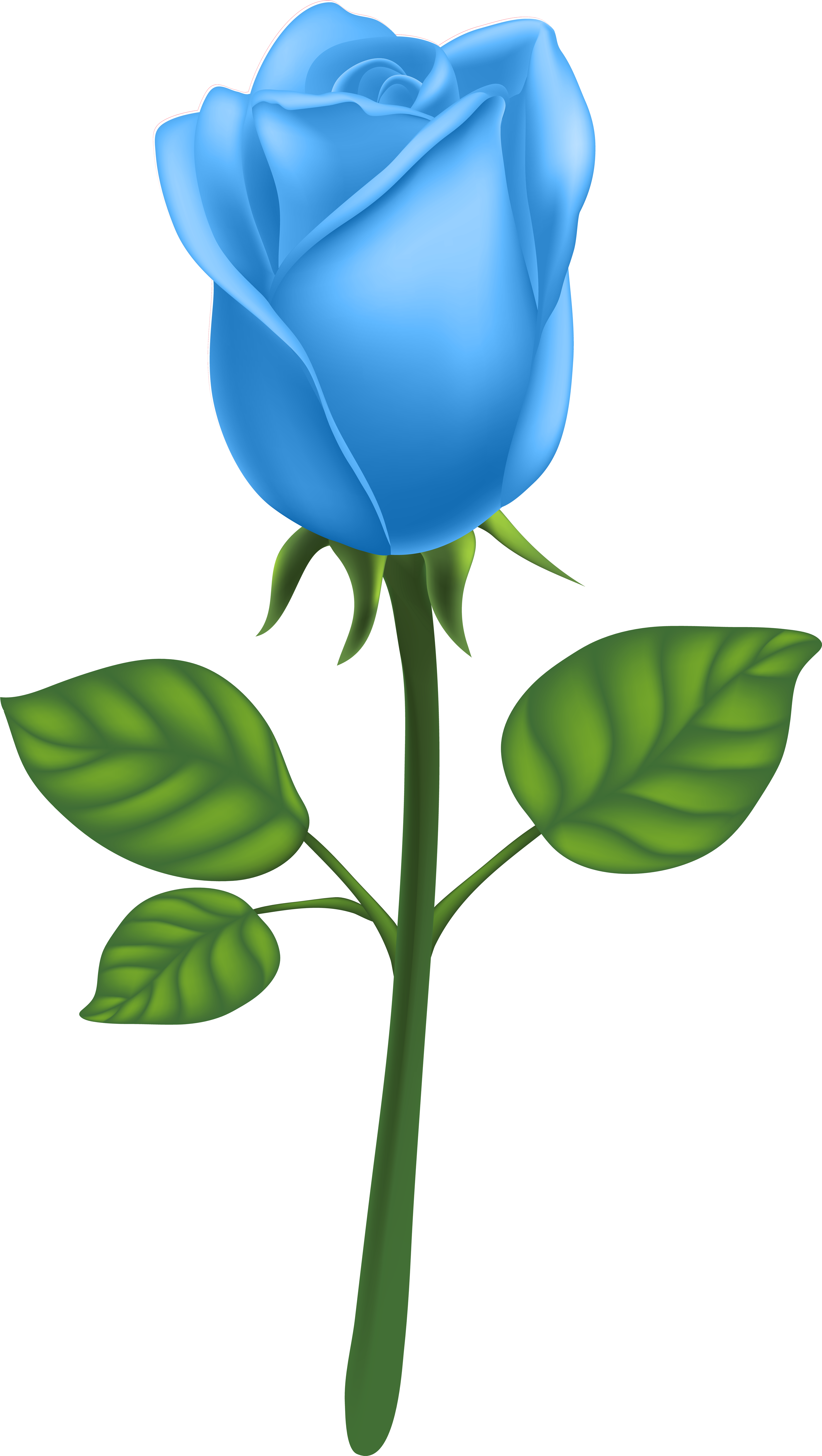 Clip Art - Png Download (4518x8000), Png Download