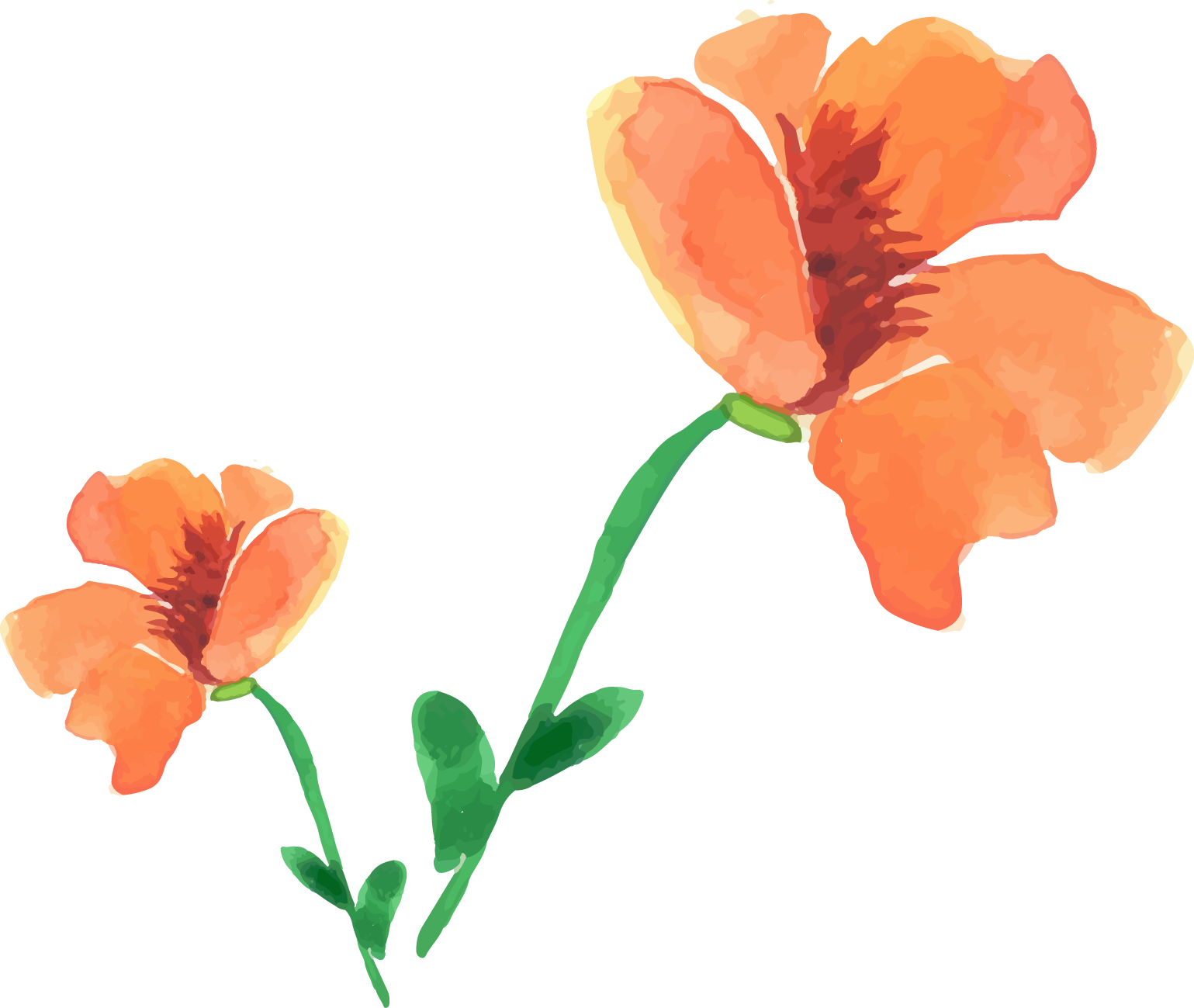 Painting Poppy Flower Painted Floral Decoration - Watercolor Painting Clipart (1539x1299), Png Download