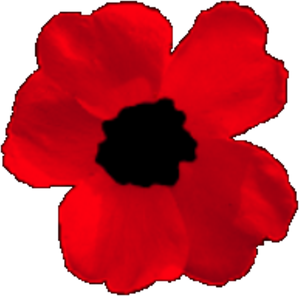 Corn Poppy Clipart (1090x1145), Png Download