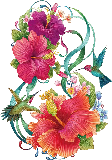 Fleur D Hibiscus Desssin Clipart (480x723), Png Download