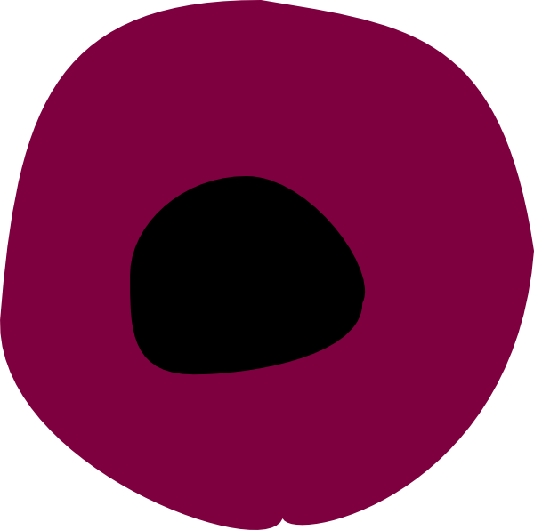 Circle Clipart (600x596), Png Download