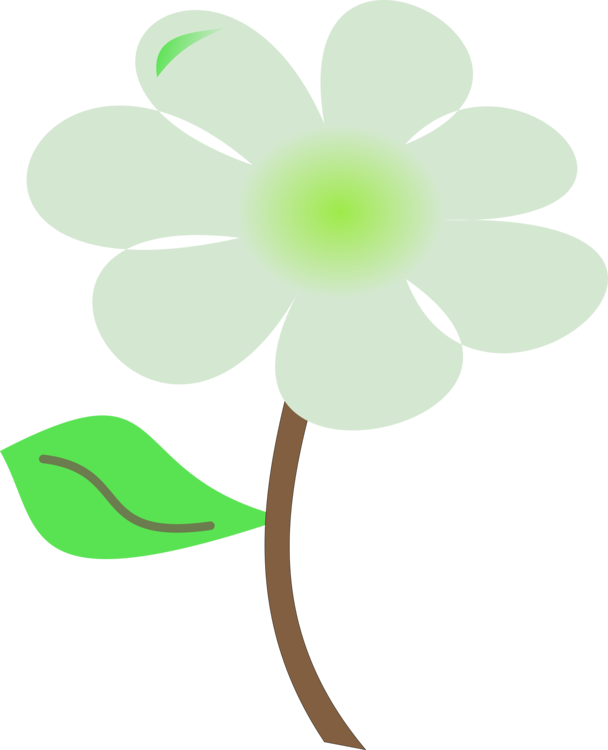 Petal Green Leaf Plant Stem Flowering Plant - Flower Clipart (608x750), Png Download