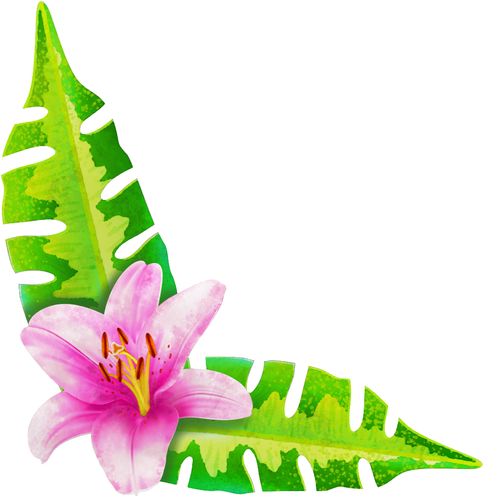 Painted A Flower Two Leaves Png Transparent - Lily Clipart (1024x1024), Png Download