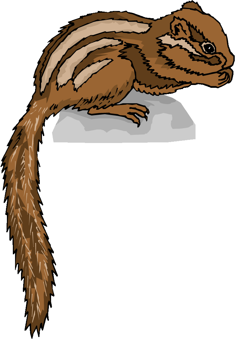 Chipmunk Clipart - Transparent Background Chipmunk Clipart Chipmunk Png (750x1081), Png Download